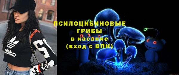 эйфоретик Алексин