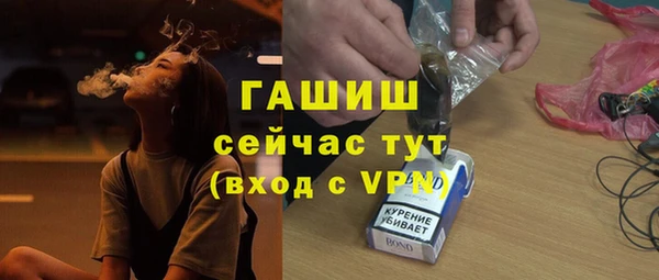 гидра Абаза